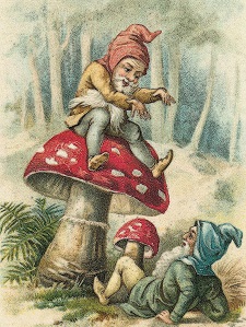 Pilz Gnome