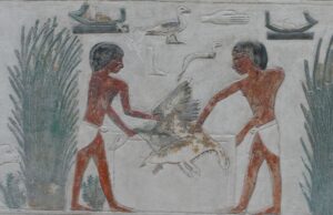 Gaense im Alten Aegypten